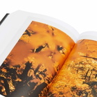 Taschen The Polaroid Book in Barbara Hitchcock 