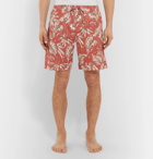 Desmond & Dempsey - Printed Cotton Pyjama Shorts - Red