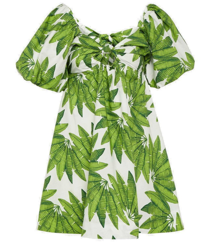 Photo: Farm Rio Palms Fan cotton minidress