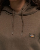 Dickies  Oakport Cropped Hoodie Beige Hoodies