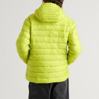 Mellow Clo Men's Alpine LT Puffer Jacket in Persian Lime