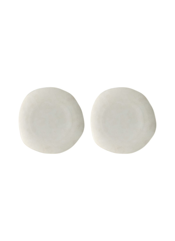 Photo: 101 Copenhagen Set Of Two Native Dinner Plates
