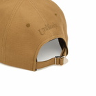 Unlikely Dry Goods Men's Team Cap in Beige 