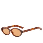 Retrosuperfuture Parola Sunglasses in Havana Diversa 