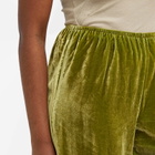 DONNI. Women's Velvet Simple Pants in Martini
