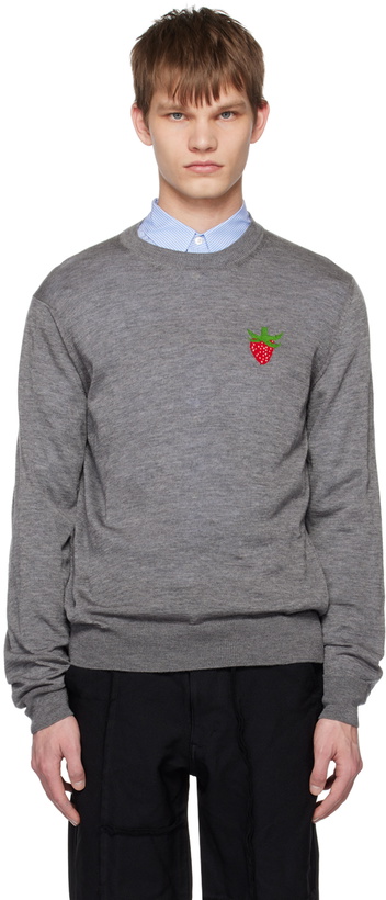 Photo: Comme des Garçons Shirt Gray Brett Westfall Edition Sweater
