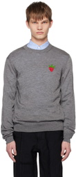 Comme des Garçons Shirt Gray Brett Westfall Edition Sweater