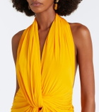 Alex Perry Draped halterneck jersey gown