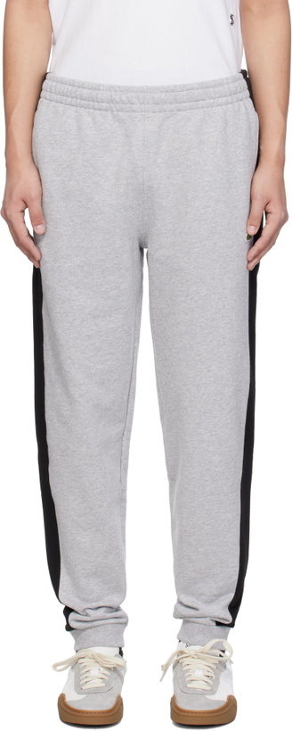 Photo: Lacoste Gray & Black Tapered Fit Colorblock Sweatpants