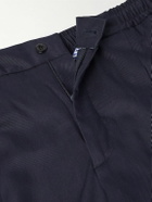 Rubinacci - Leisure Straight-Leg Pleated Silk-Twill Trousers - Blue