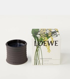Loewe Home Scents Orchid Small scented candle