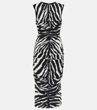 Dolce&Gabbana - Zebra-print cady midi dress