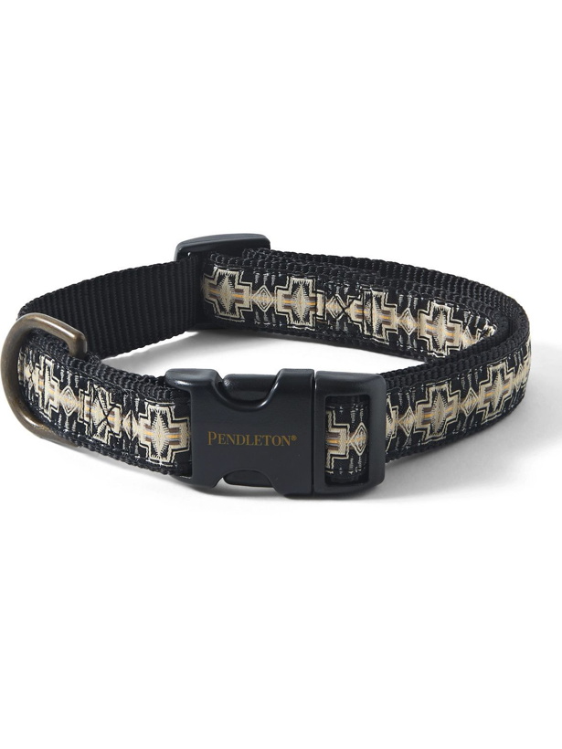 Photo: Pendleton - Hike Printed Webbing Dog Collar