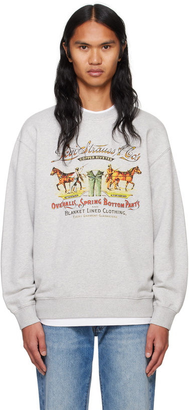 Photo: Levi's Gray Relaxed Graphic Sweatshirt