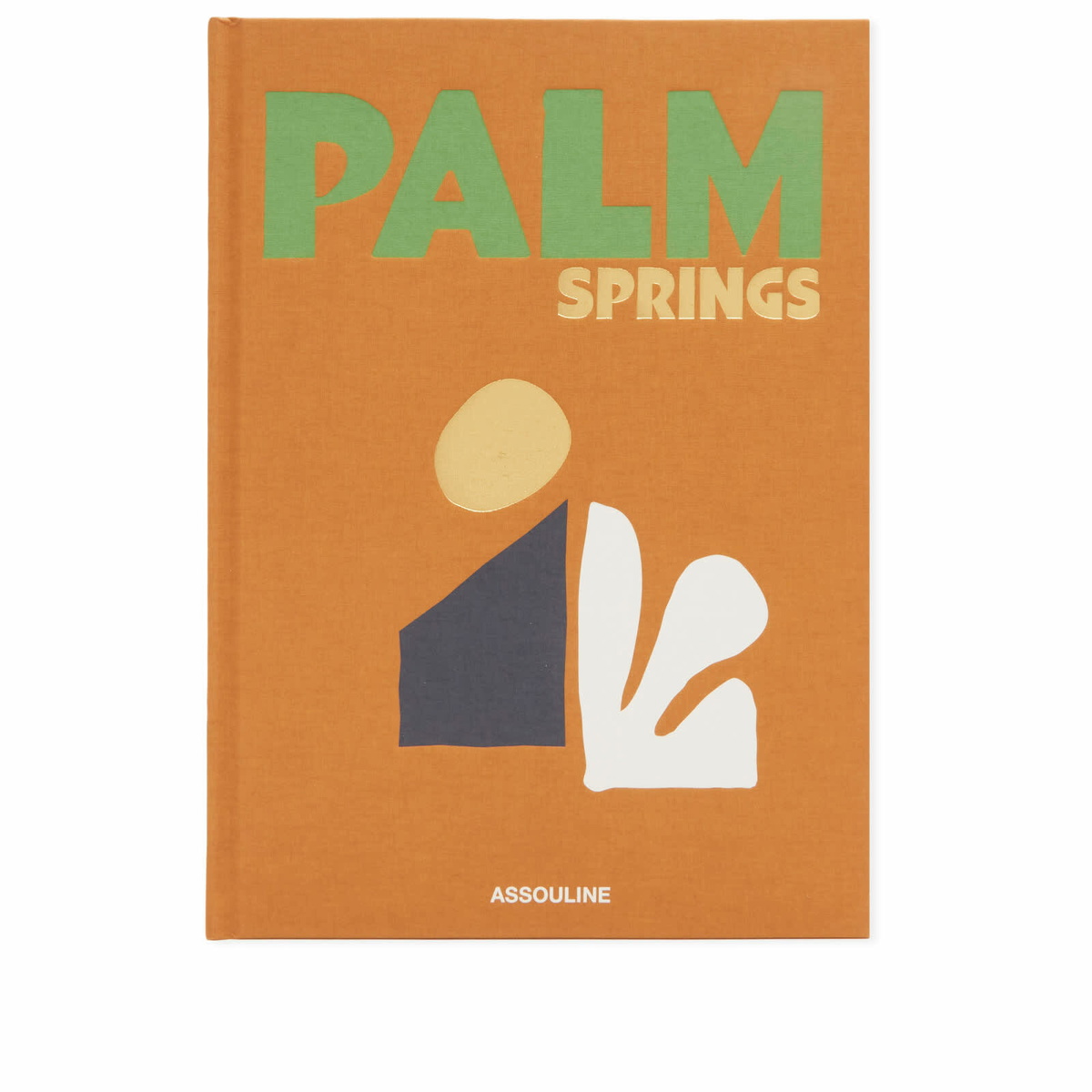 Assouline Palm Springs in Sheila Hamilton 
