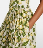 Adriana Degreas Printed cotton-blend maxi dress