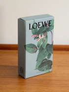 Loewe Perfumes - Room Spray - Men