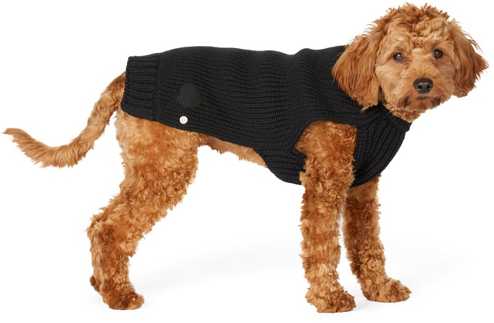 Photo: Moncler Genius Black Poldo Dog Couture Edition Tricot Sweater