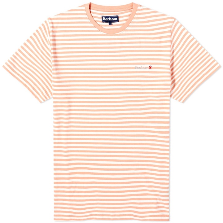 Photo: Barbour Men's Bilting Stripe T-Shirt in Faded Orange