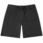 Museum of Peace and Quiet Sweat Short in Black