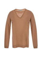 Goes Botanical V Neck Sweater