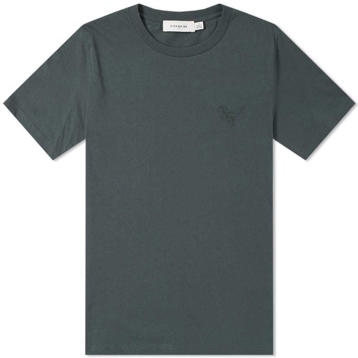 Photo: Coach Rexy Patch Tee Green