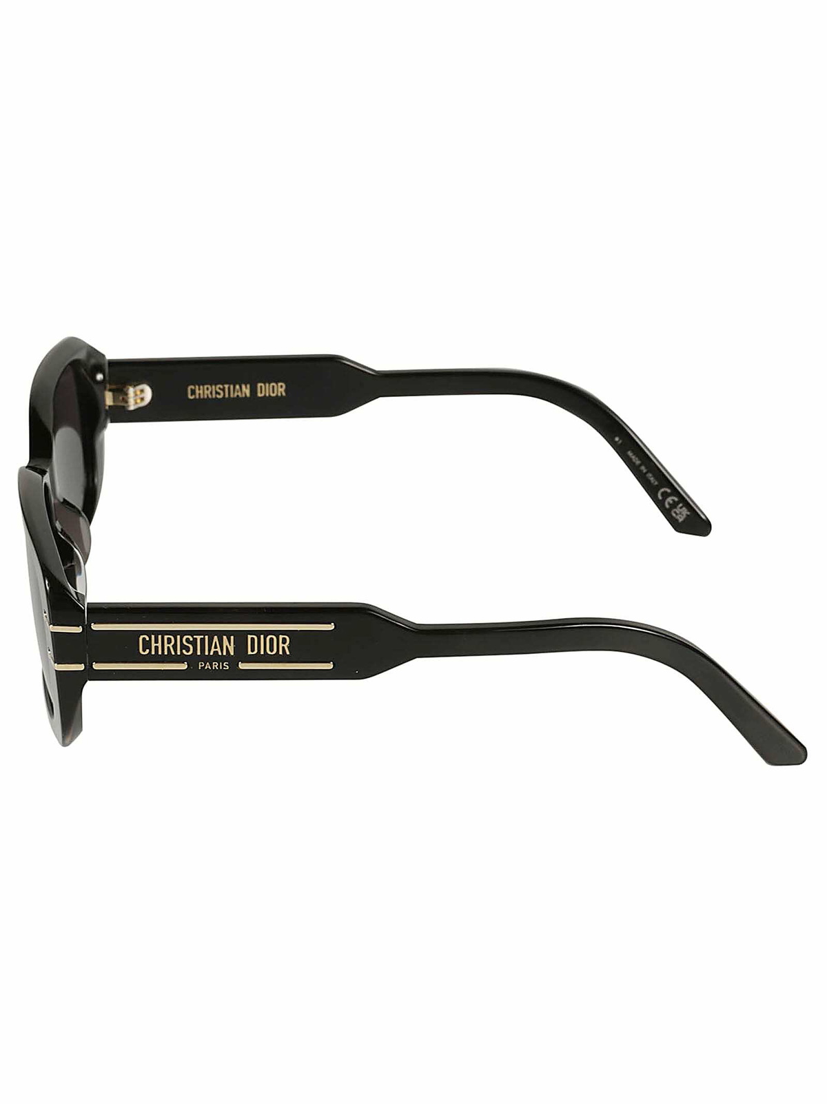 Dior Eyewear Flat Rectangle Classic Sunglasses