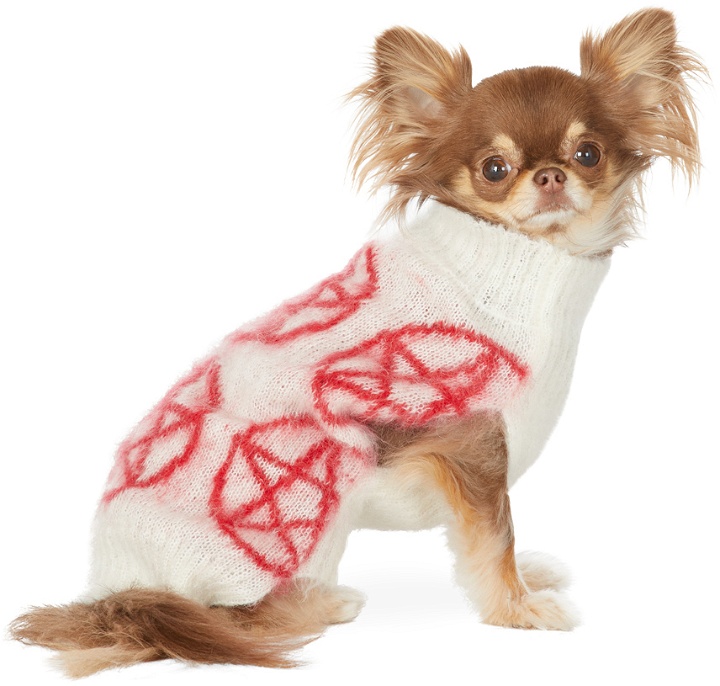 Photo: Ashley Williams White & Red Intarsia Pentagram Dog Sweater