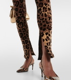 Dolce&Gabbana Leopard-print cotton-blend catsuit