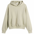 Lady White Co. Men's Mini Hoodie in Paper