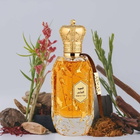 Armaf Unisex Magical Oud EDP Spray 3.4 oz Fragrances 6294015181845