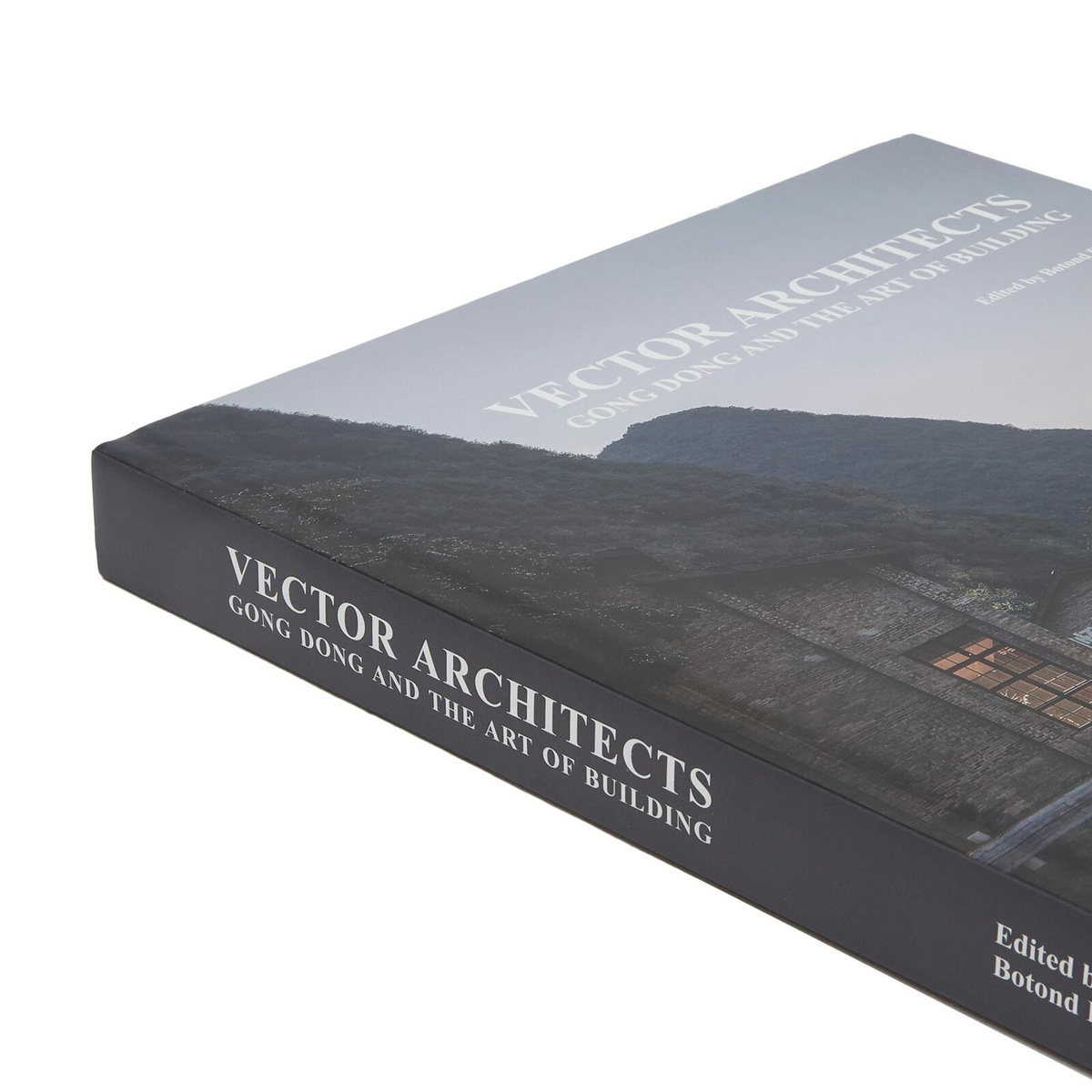 新着入荷の通販 Rizzoli Rizzoli Architects Dong/Vector Gong in Architects Vector アート・デザイン・音楽