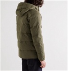 NN07 - Mason 8259 Quilted Cotton-Blend PrimaLoft Hooded Jacket - Green