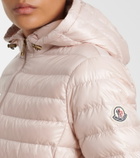 Moncler Igelhood down jacket