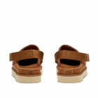 UGG Women's Goldenstar Clog in Chestnut