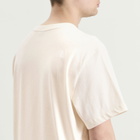 The North Face Men's Explorer Badges Relaxed T-Shirt in White Dune