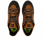 Veja Men's Fitz Roy Sneakers in Terra/Black