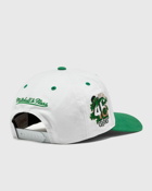 Mitchell & Ness Nba Tail Sweep Pro Snapback Boston Celtics Green/White - Mens - Caps