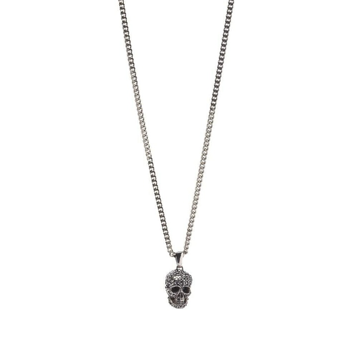 Photo: Alexander McQueen Men's Skull Necklace in Silver/Greige