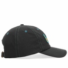 Butter Goods Men's Connection 6 Panel Cap in Black 