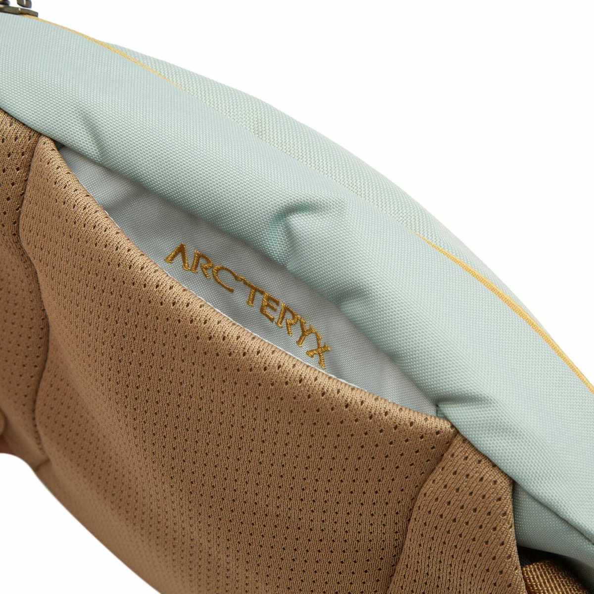 Arc'teryx Men's Mantis 2 Waist Pack in Trail Magic Arc'teryx