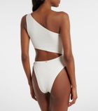 ViX Paula Hermanny x Rosie Huntington-Whiteley Jo swimsuit