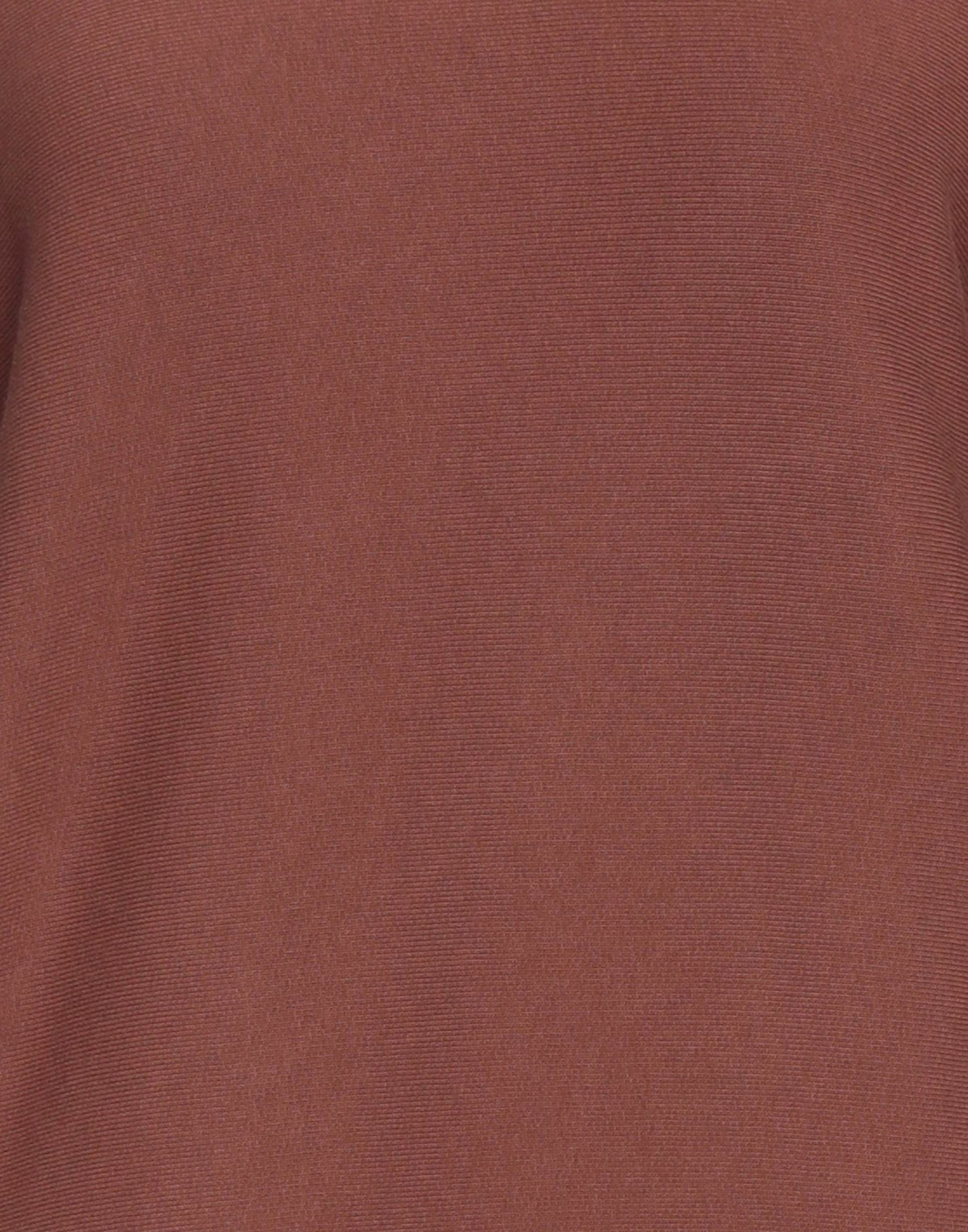 Champion Womens Sweatshirt Chocolate in Brown