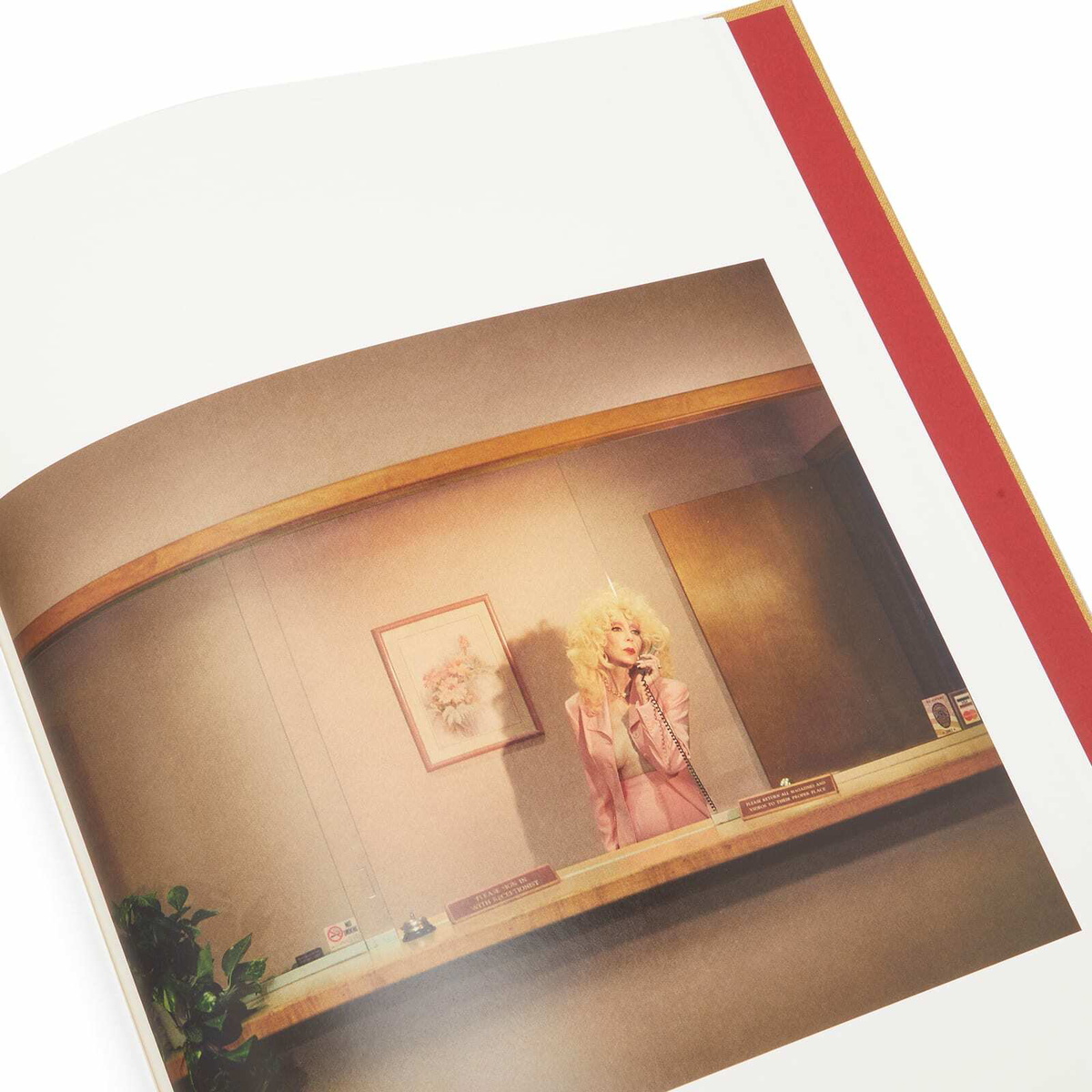 IDEA Nadia Lee Cohen Women 6th Edition Book in White 