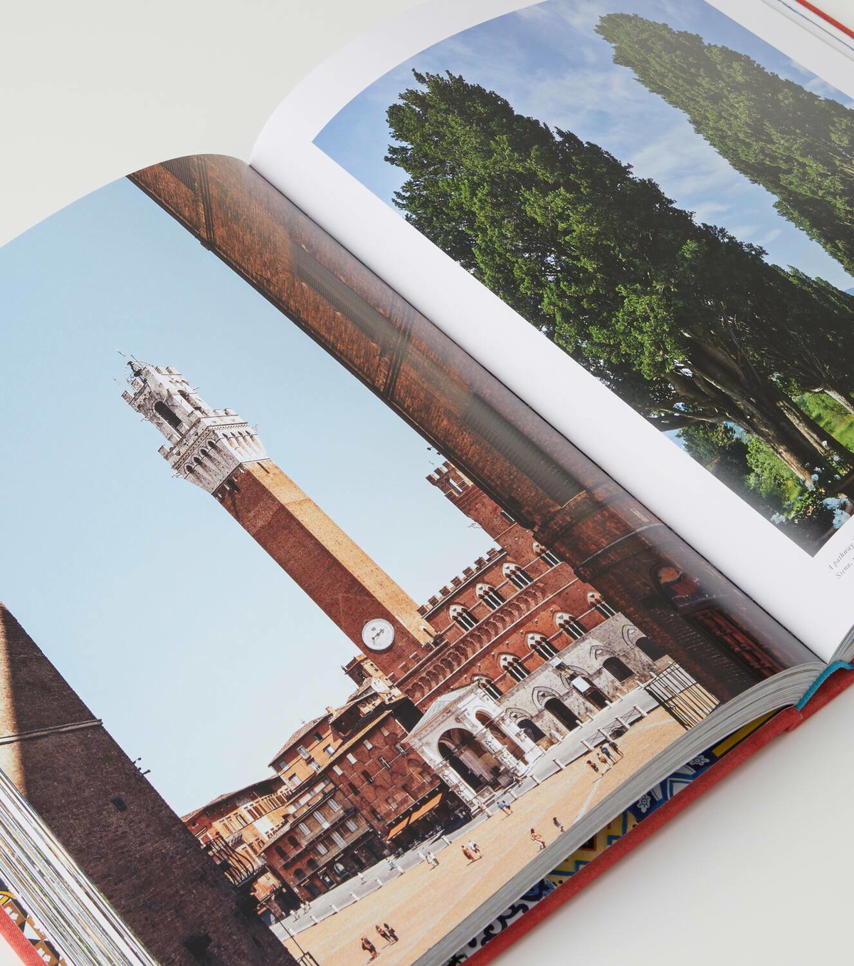 Assouline Villeggiatura: Italian Summer Vacation book