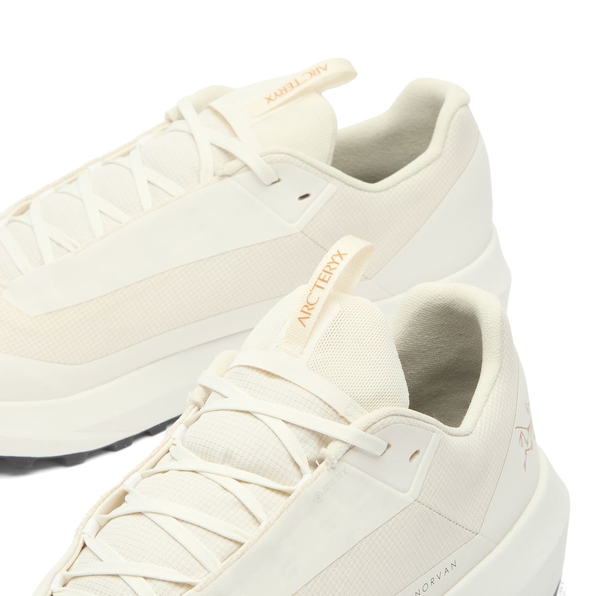 Arc'teryx Men's Norvan LD 4 Gore-Tex Sneakers in Arctic Silk/Arctic Silk