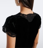 Rixo Lacie lace-trimmed velvet minidress