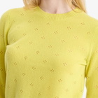 GUEST IN RESIDENCE Women's Shrunken Pointelle Crew Sweater in Lemon