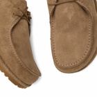 Birkenstock Men's Utti Lace in Grey Taupe Suede
