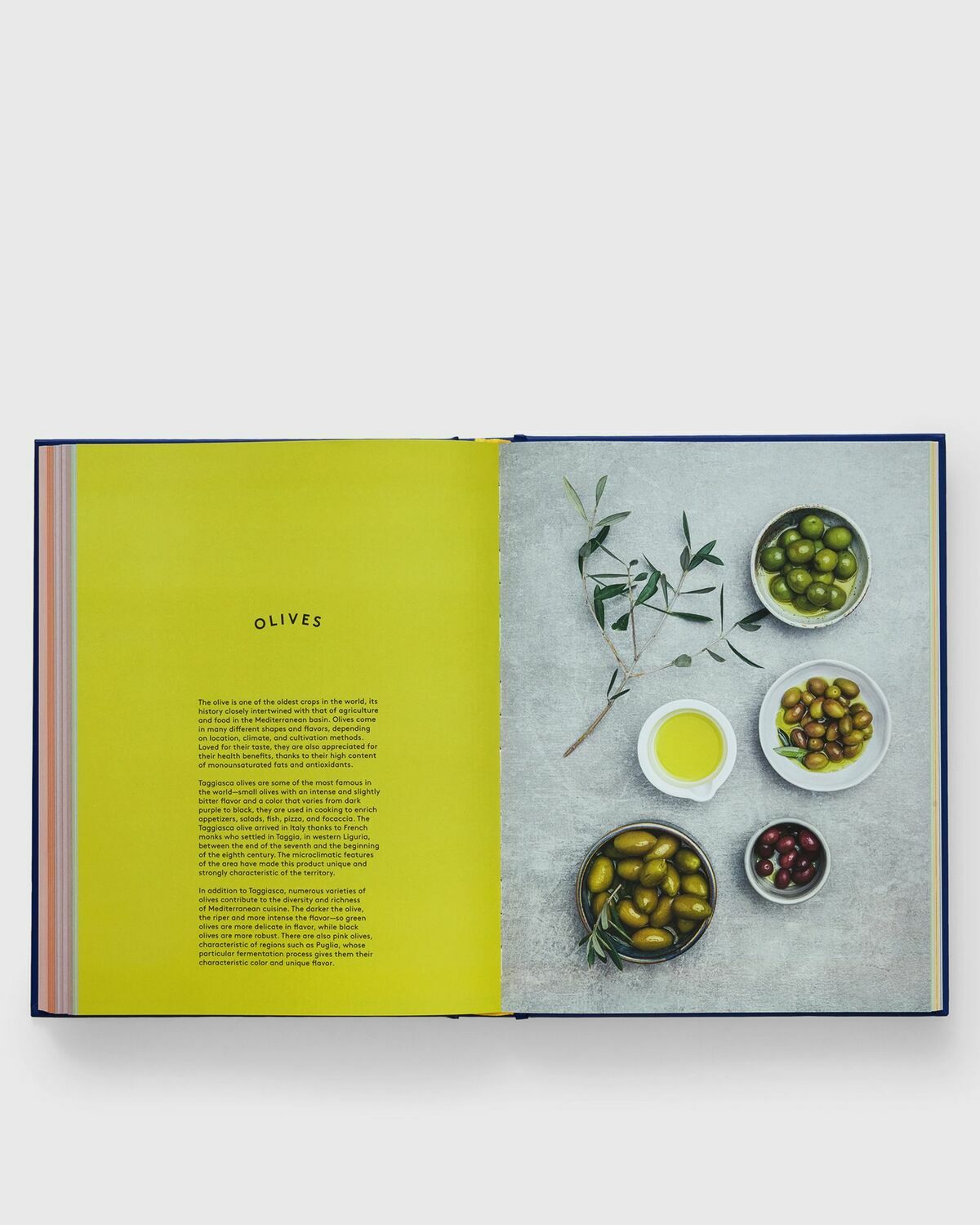 Phaidon The Book Of Pasta Multi Food